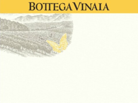 BOTTEGA VINAIA Logo (USPTO, 06/06/2013)