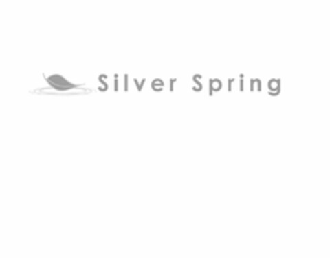 SILVER SPRING Logo (USPTO, 25.04.2014)