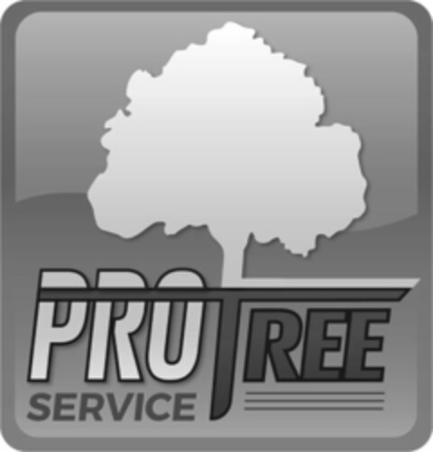 PRO TREE SERVICE Logo (USPTO, 07.10.2016)