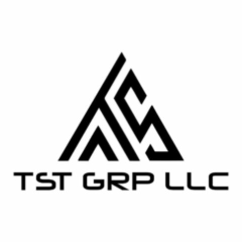 TS TST GRP LLC Logo (USPTO, 28.04.2019)