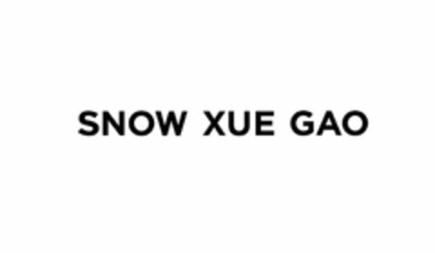 SNOW XUE GAO Logo (USPTO, 12.08.2019)