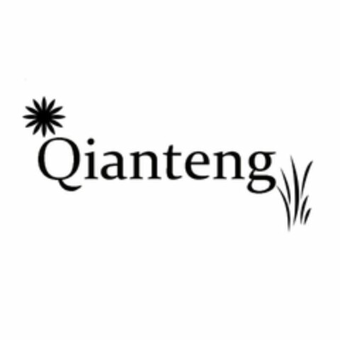 QIANTENG Logo (USPTO, 06/24/2020)