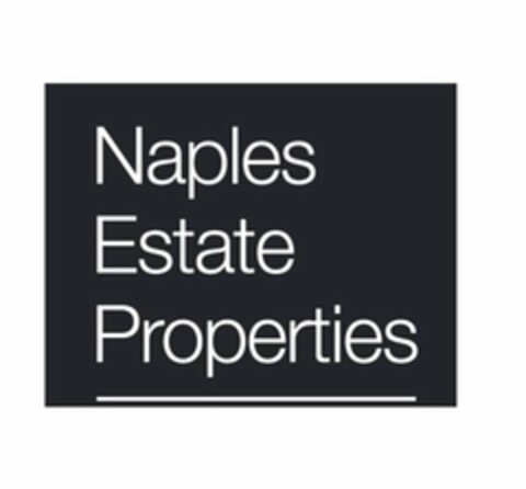 NAPLES ESTATE PROPERTIES Logo (USPTO, 03.09.2010)