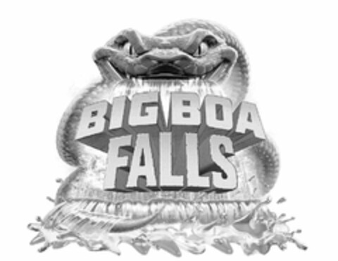 BIG BOA FALLS Logo (USPTO, 05/09/2011)