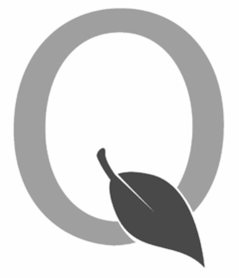 Q Logo (USPTO, 03.05.2012)