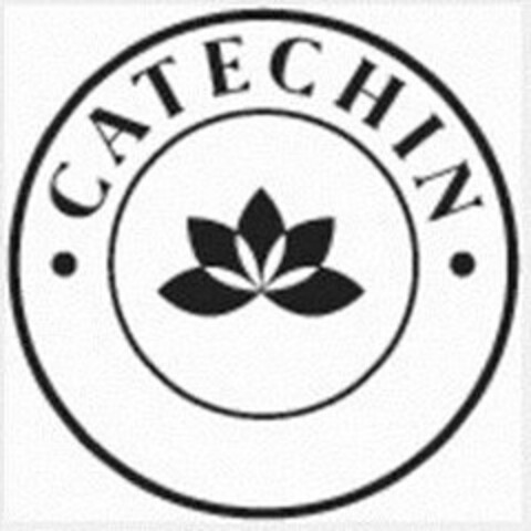 CATECHIN Logo (USPTO, 09.12.2014)