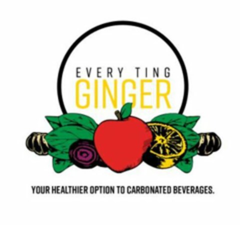 EVERY TING GINGER YOUR HEALTHIER OPTION CARBONATED BEVERAGES. Logo (USPTO, 21.06.2018)