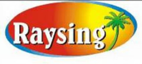 RAYSING Logo (USPTO, 02.11.2009)