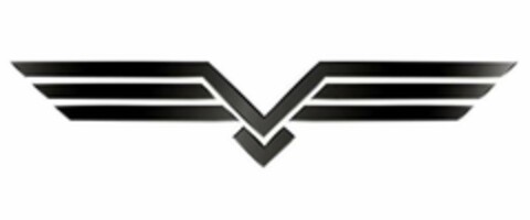 VV Logo (USPTO, 11/19/2019)