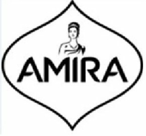 AMIRA Logo (USPTO, 05.03.2013)