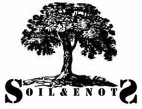 SOIL&ENOTS Logo (USPTO, 03/18/2013)