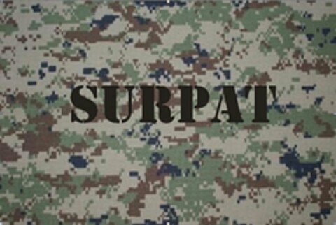 SURPAT Logo (USPTO, 04.09.2009)