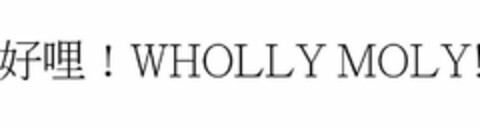 ! WHOLLY MOLY! Logo (USPTO, 02.11.2018)