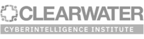 CLEARWATER CYBERINTELLIGENCE INSTITUTE Logo (USPTO, 06.03.2019)