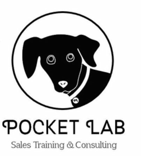 PL POCKET LAB SALES TRAINING & CONSULTING Logo (USPTO, 21.03.2019)