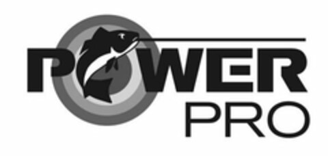 POWER PRO Logo (USPTO, 02/13/2020)