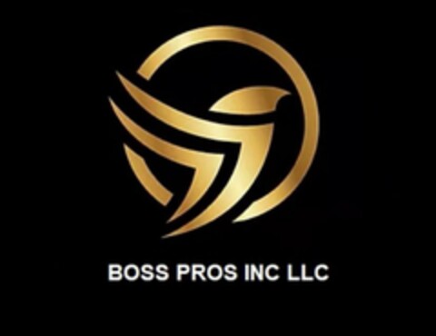 BOSS PROS INC Logo (USPTO, 15.03.2020)