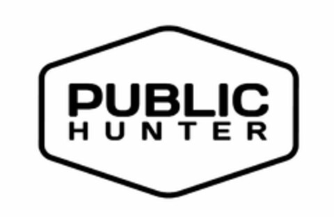 PUBLIC HUNTER Logo (USPTO, 27.03.2020)