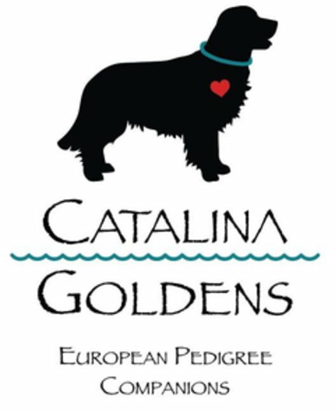 CATALINA GOLDENS EUROPEAN PEDIGREE COMPANIONS Logo (USPTO, 17.06.2020)