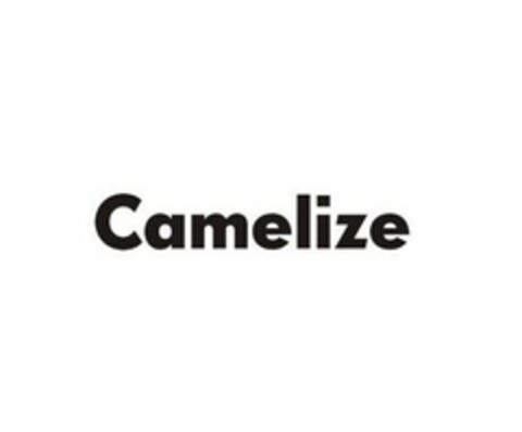 CAMELIZE Logo (USPTO, 17.07.2020)