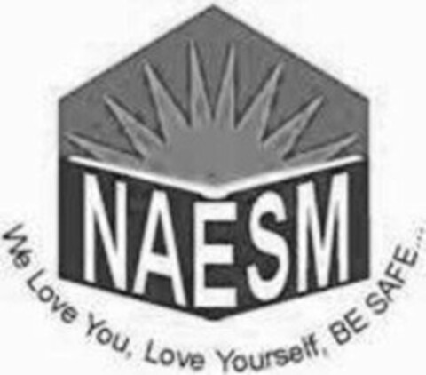 NAESM WE LOVE YOU, LOVE YOURSELF, BE SAFE... Logo (USPTO, 31.05.2011)