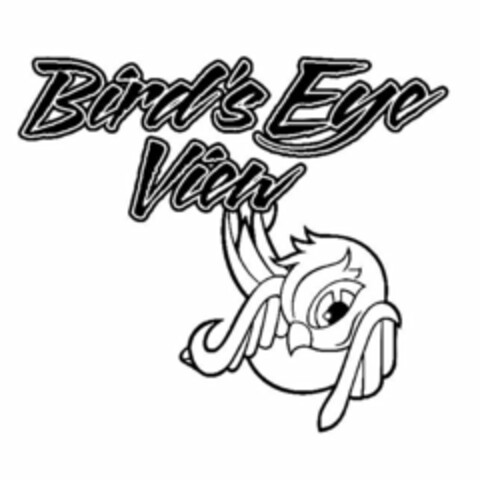 BIRD'S EYE VIEW Logo (USPTO, 07/22/2014)