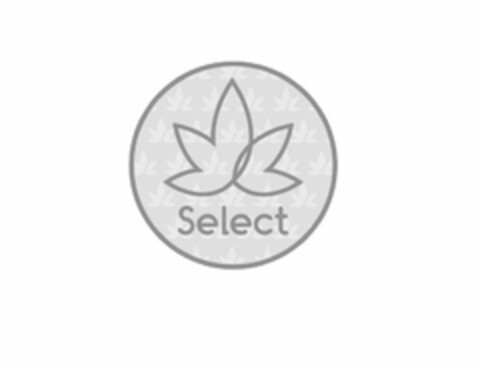 SELECT Logo (USPTO, 21.02.2017)