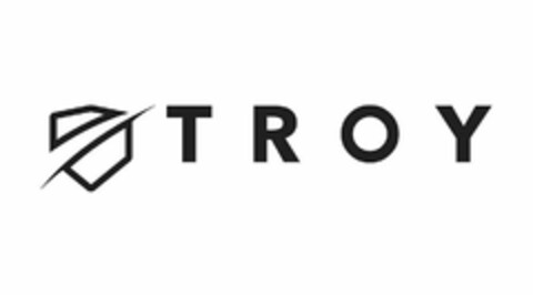 TROY Logo (USPTO, 20.02.2020)
