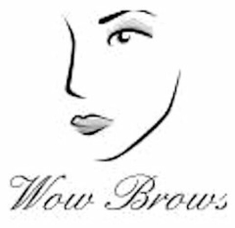 WOW BROWS Logo (USPTO, 23.06.2011)