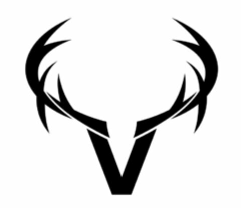 V Logo (USPTO, 29.02.2012)