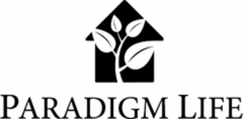 PARADIGM LIFE Logo (USPTO, 10/17/2014)