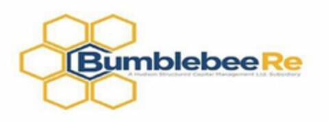 BUMBLEBEE RE A HUDSON STRUCTURED CAPITAL MANAGEMENT LTD. SUBSIDIARY Logo (USPTO, 27.08.2020)