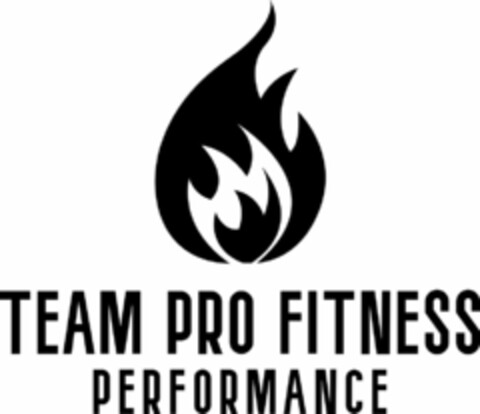 TEAM PRO FITNESS PERFORMANCE Logo (USPTO, 09/15/2020)