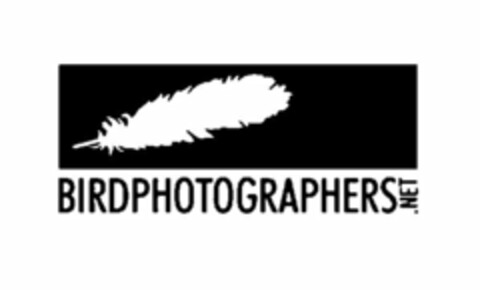 BIRDPHOTOGRAPHERS.NET Logo (USPTO, 07/29/2009)