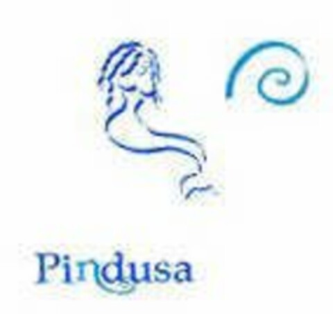 PINDUSA Logo (USPTO, 03.04.2012)