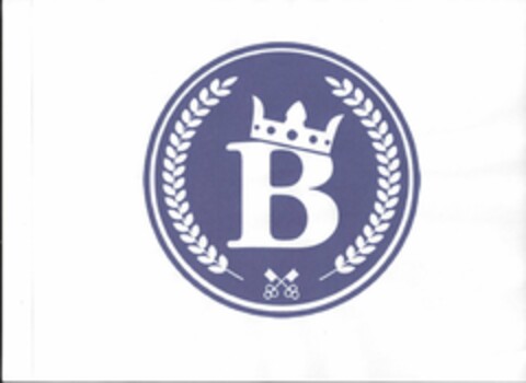 B Logo (USPTO, 27.01.2014)