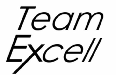 TEAM EXCELL Logo (USPTO, 20.08.2014)