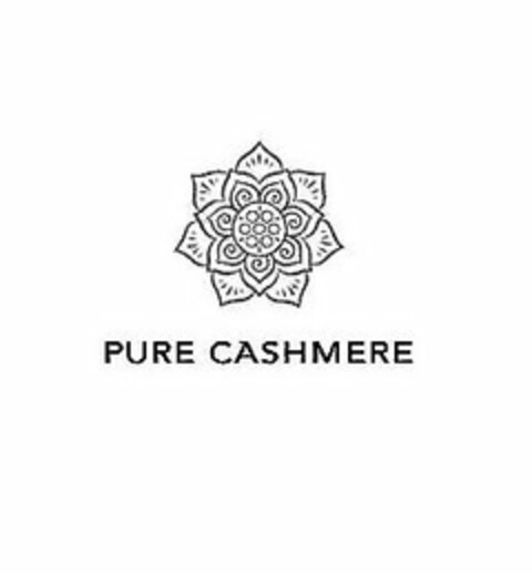 PURE CASHMERE Logo (USPTO, 06/04/2015)