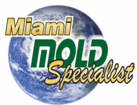 MIAMI MOLD SPECIALIST Logo (USPTO, 31.01.2019)