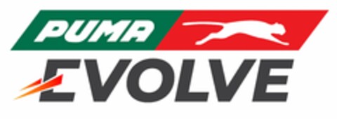 PUMA EVOLVE Logo (USPTO, 02/05/2019)