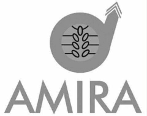 AMIRA Logo (USPTO, 13.09.2012)