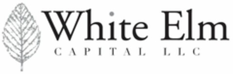 WHITE ELM CAPITAL LLC Logo (USPTO, 15.04.2013)