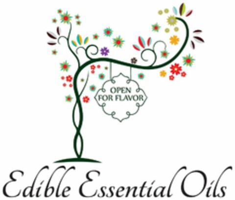 EDIBLE ESSENTIAL OILS - OPEN FOR FLAVOR Logo (USPTO, 15.07.2014)