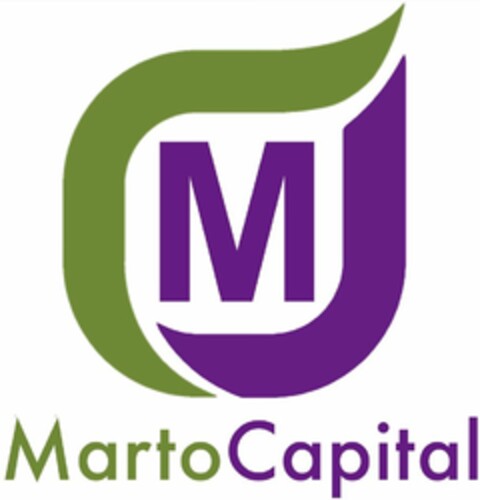 M MARTO CAPITAL Logo (USPTO, 22.07.2016)