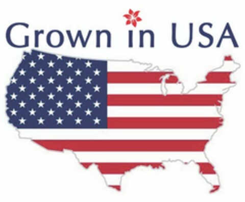 GROWN IN USA Logo (USPTO, 08/06/2018)