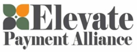 ELEVATE PAYMENT ALLIANCE Logo (USPTO, 31.08.2018)