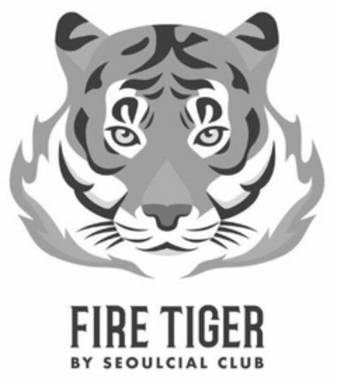 FIRE TIGER BY SEOULCIAL CLUB Logo (USPTO, 16.04.2019)