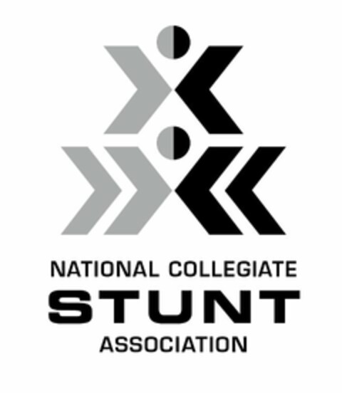 NATIONAL COLLEGIATE STUNT ASSOCIATION Logo (USPTO, 12.10.2010)