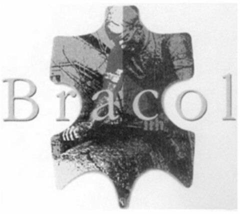 BRACOL Logo (USPTO, 11/11/2010)