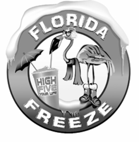 FLORIDA FREEZE HIGH FIVE YOUR LIFE Logo (USPTO, 11/11/2011)